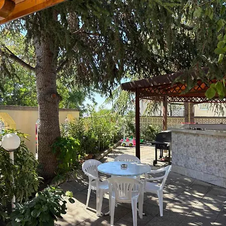 Family Chris スヴェティ・ヴラス